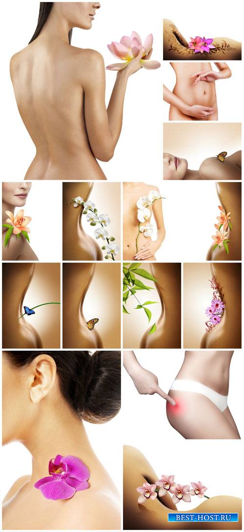Naked female body and flowers - Stock Photo
