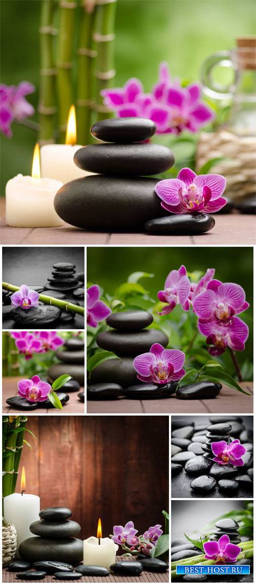 Spa backgrounds, orchid and spa stones - stock photos