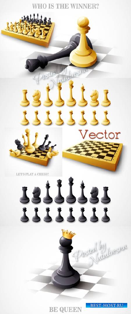 Подборка векторного клипарта – Шахматный тур