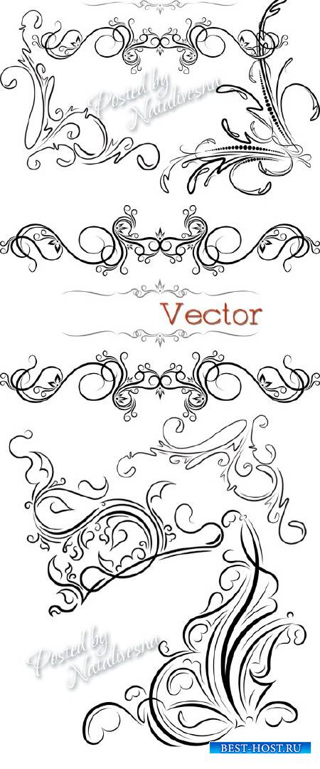 Декоративные элементы и узоры для дизайна в Векторе # 2