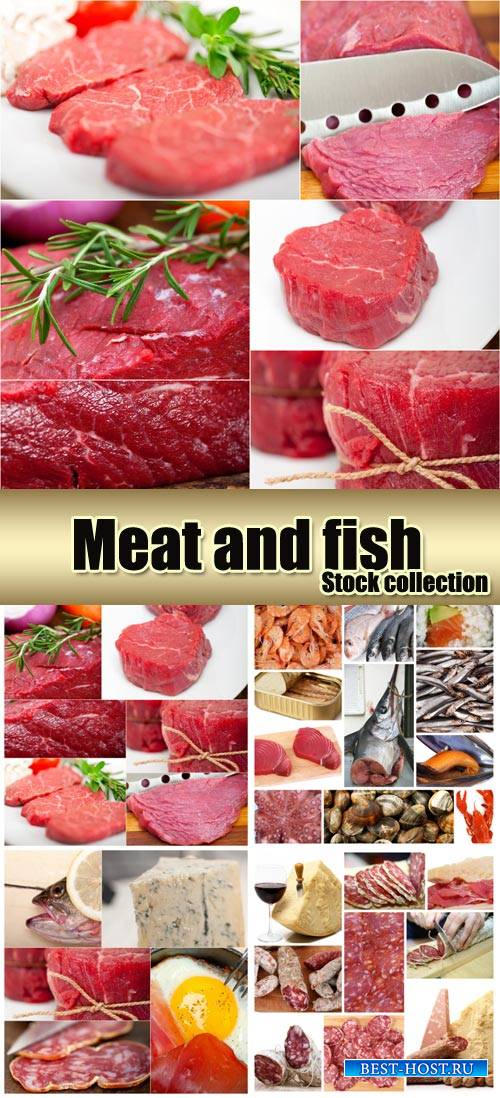 Meat and fish products - stock photos