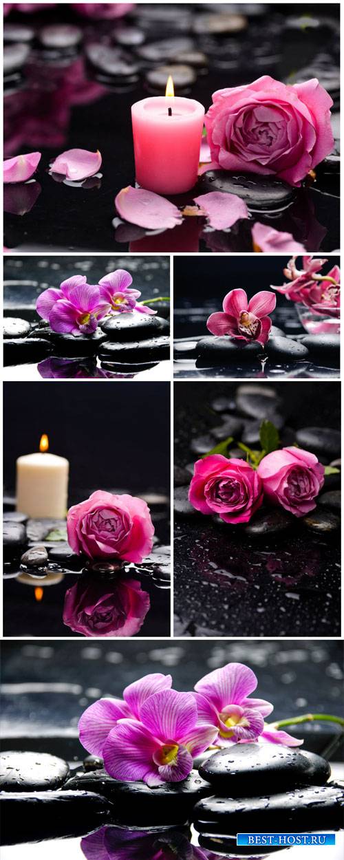 Roses, orchids and candles, spa backgrounds - Stock photo