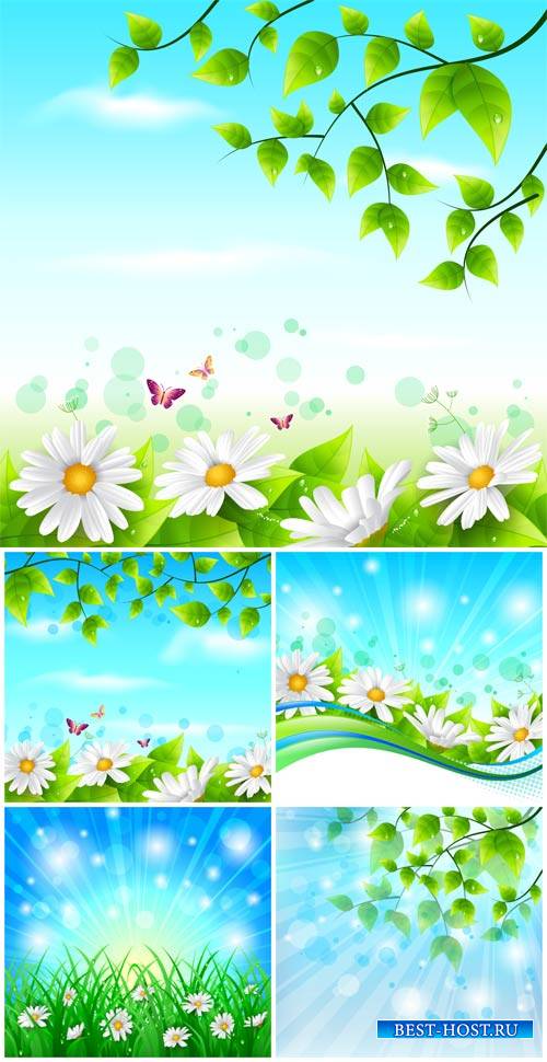 Vector backgrounds, nature, flowers and butterflies