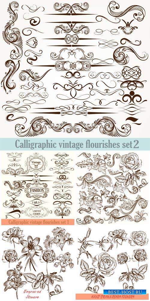 Calligraphic vintage elements vector