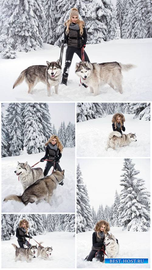 Girl with dogs, winter nature - stock photos