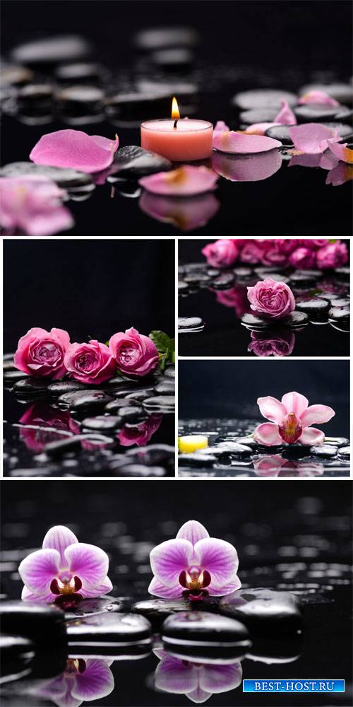 Spa background with roses and orchids - stock photos