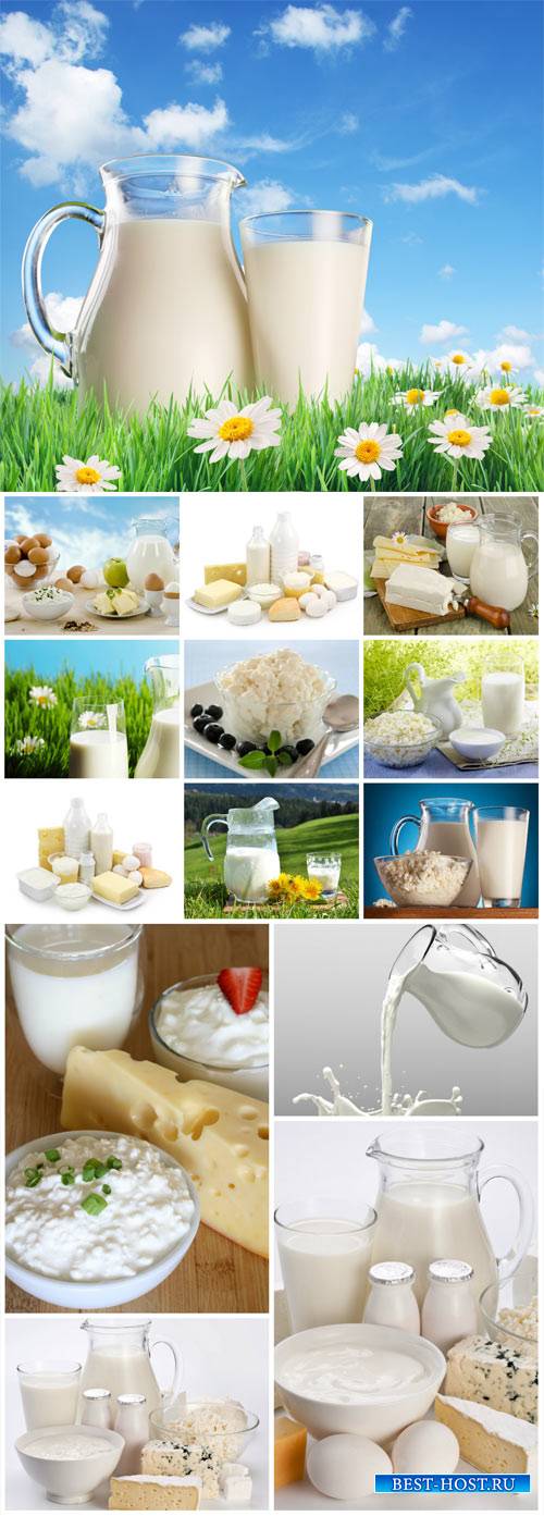 Milk and milk products - stock photos