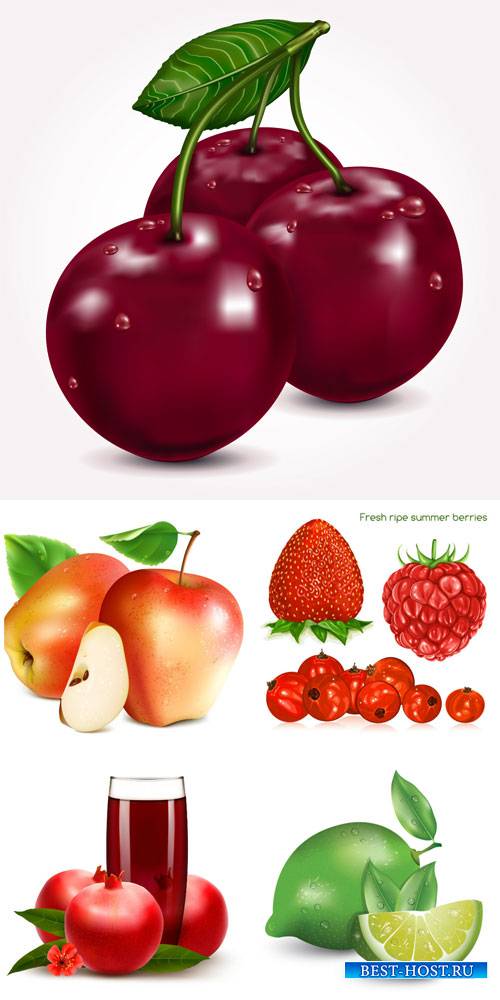 Vector fresh fruits and berries, cherry, apple, strawberry
