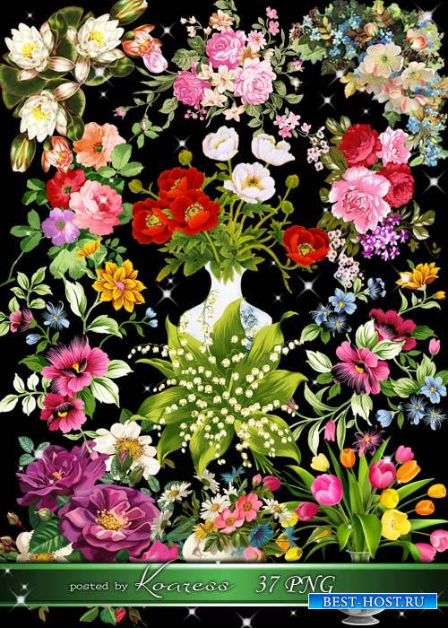Нарисованные цветы, букеты и цветочные композиции - png клипарт на прозрачном фоне для фотошопа - Неповторимый букет