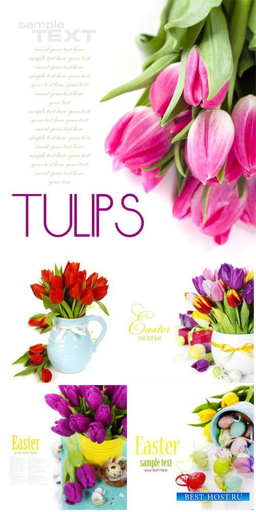 Tulips and Easter eggs - stock photos
