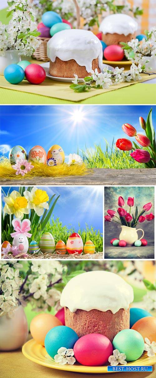 Easter background with easter eggs and flowers
