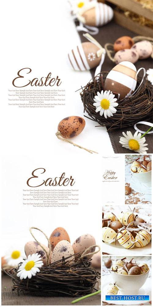 Happy Easter, Easter eggs and daisies - stock photos