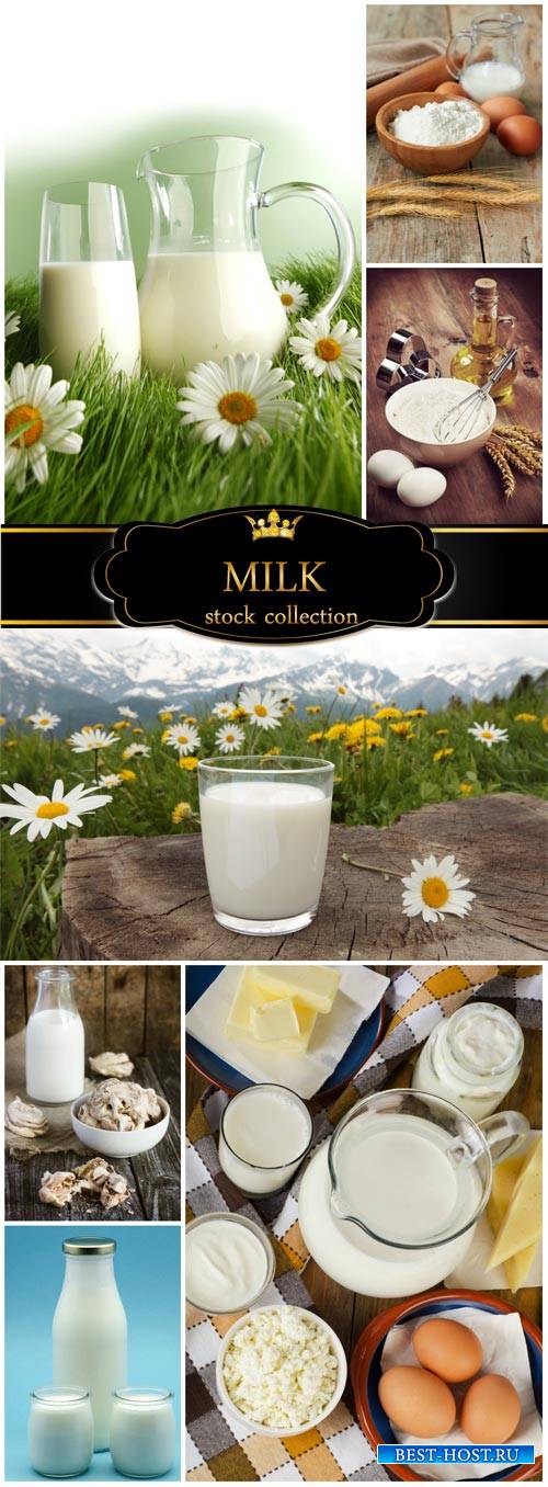 Milk, eggs and flour - stock photos