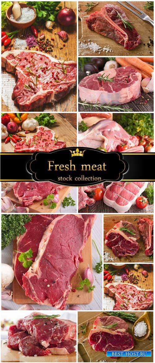 Fresh meat and spices - stock photos