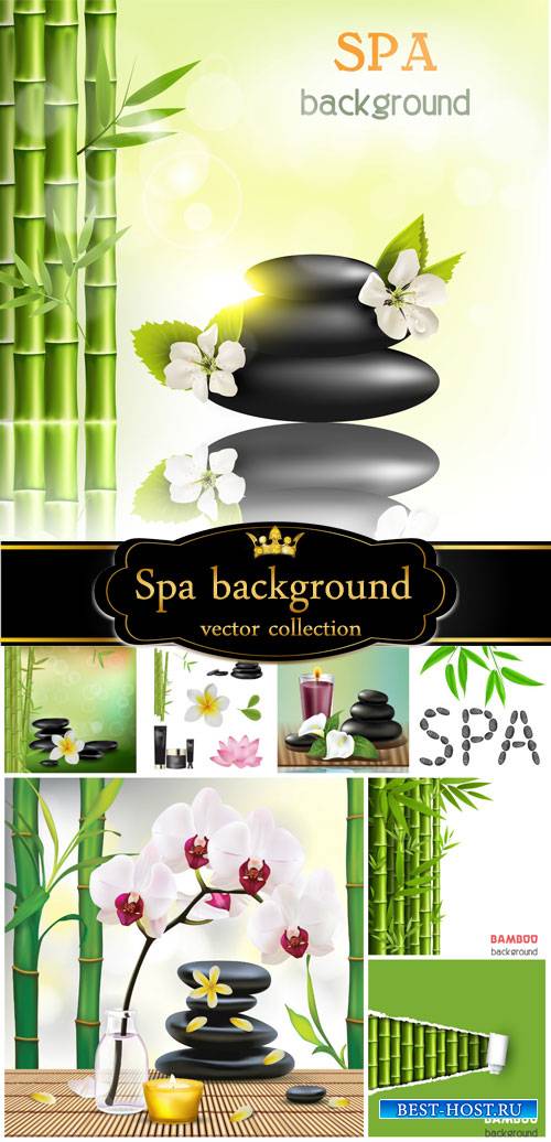 Spa background in vector, bamboo and orchids