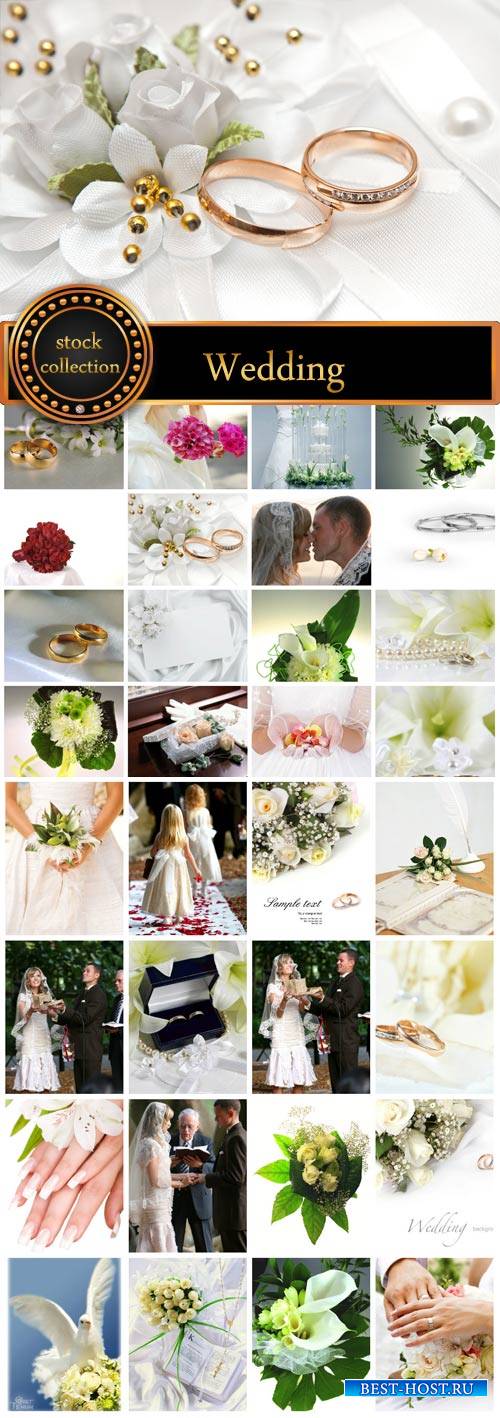 Wedding, bride and groom, wedding rings, flowers - Stock Photo