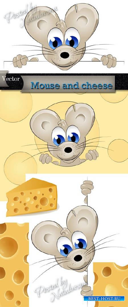 Мышь  и сыр в Векторе