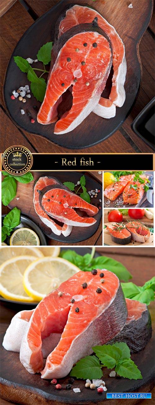 Red fish and spices - Stock Photo