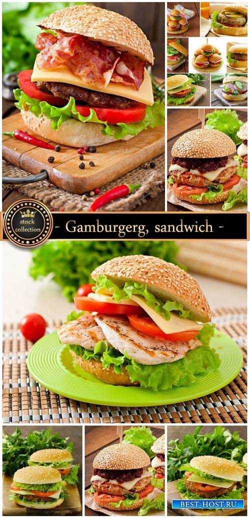 Gamburgerg, sandwich - stock photos