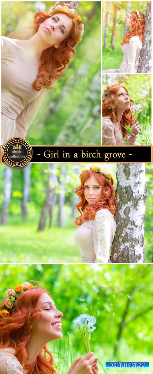 Girl in a birch grove - Stock Photo