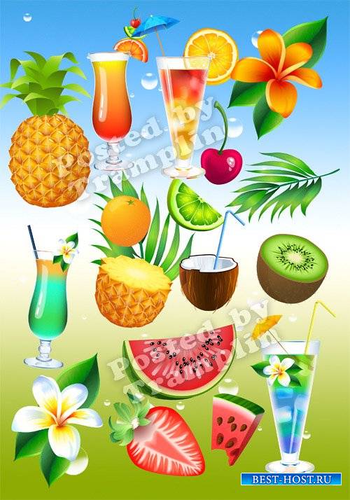 Летний клипарт – Овощи, фрукты, напитки, цветы