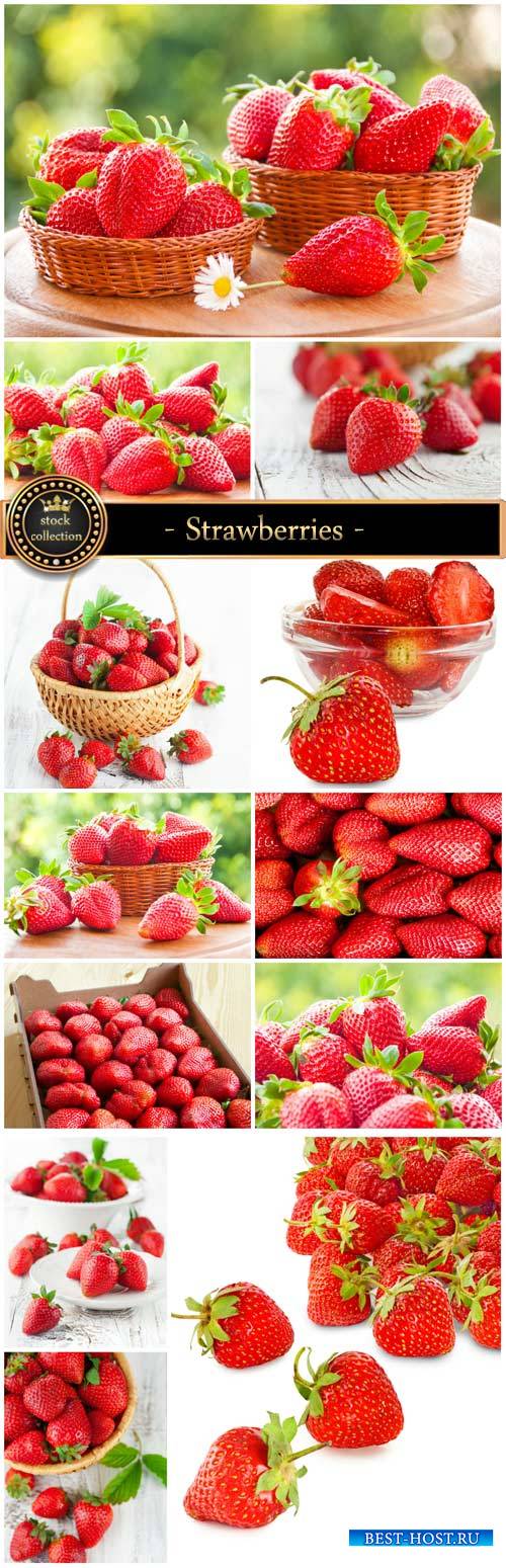 Strawberries, fresh berries - Stock Photo