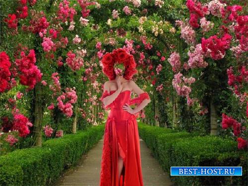 Женский фото шаблон - В красном наряде среди роз