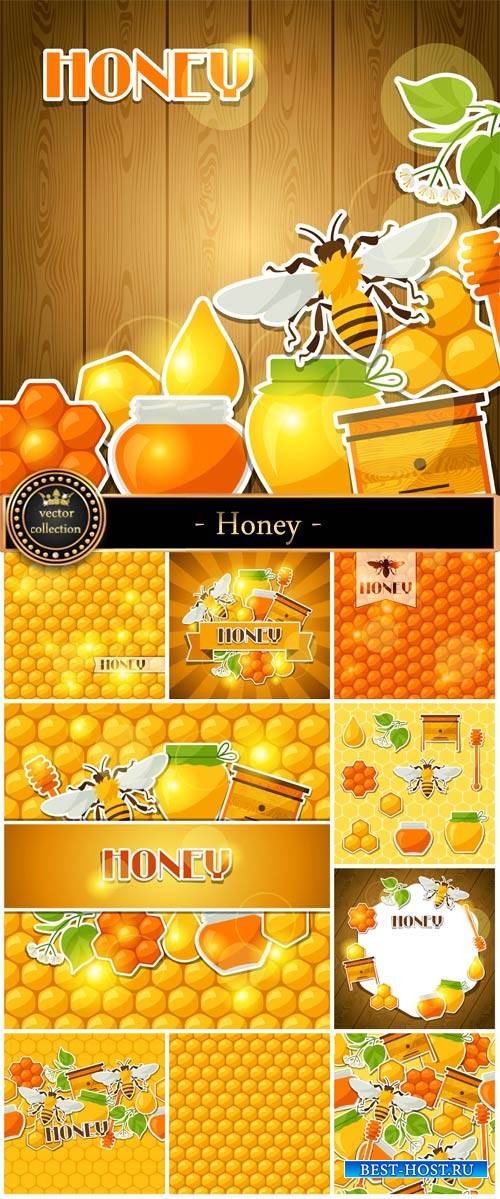 Honey, vector backgrounds with bees