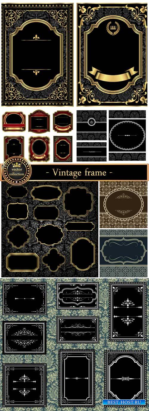 Vintage vector, patterns and ornaments