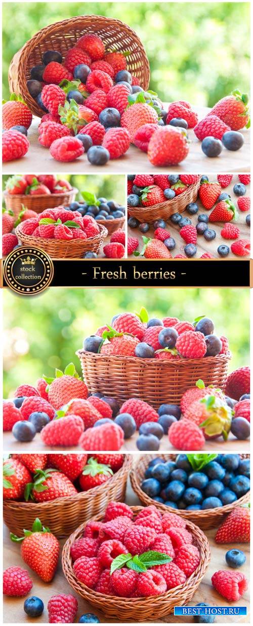 Fresh berries in a basket - Stock Photo