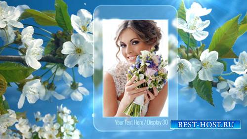 Photo Gallery Spring Blossoms - Project for After Effects (Videohive)