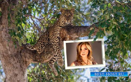 Рамка для фото - Дикий леопард на ветке
