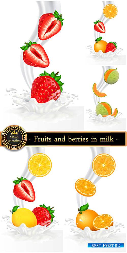 Fruits and berries in milk, vector