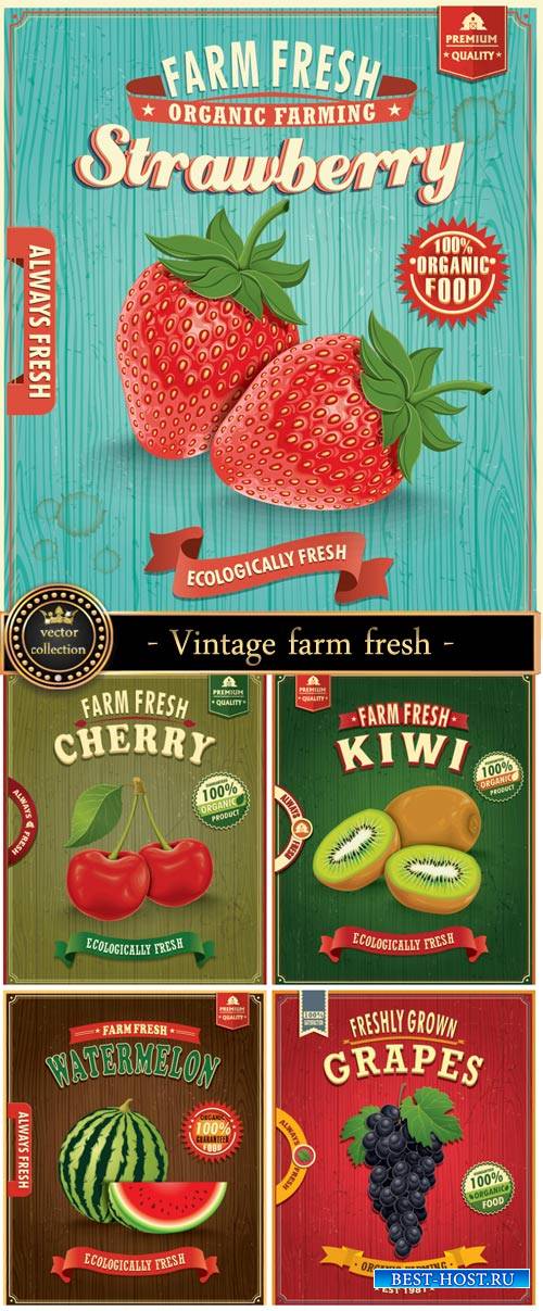 Vintage label vector, strawberries, watermelon, grapes, kiwi