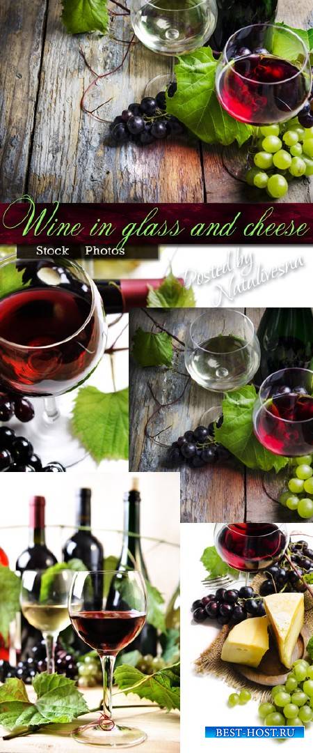 Вино в бокале и сыр – Stock photo