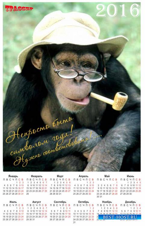 Настенный календарь на 2016 год - Озорная обезьяна
