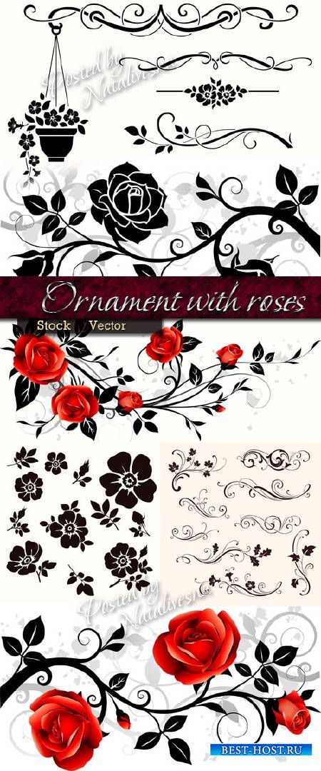 Орнамент с розами и декоративными элементами в Векторе