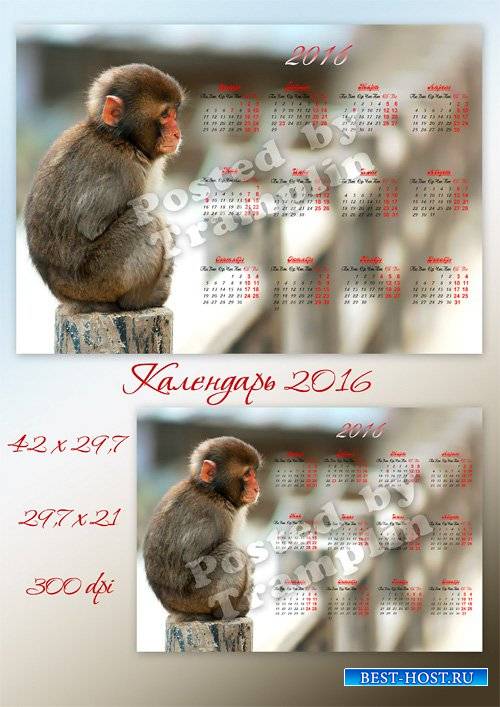 Настенный календарь на 2016 год с обезьянкой