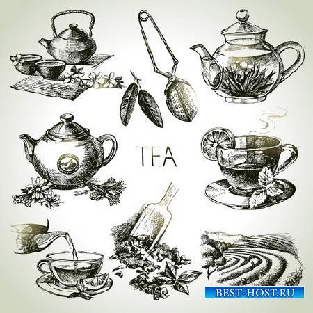 Чайная Церемония в Векторе - Благородный и бодрящий напиток чай