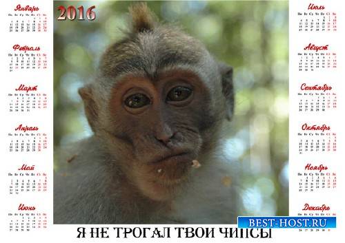 Календарь 2016 - Честная обезьяна
