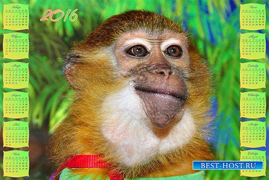 Календарь на 2016 - Здравствуй, год обезьяны