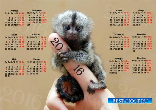 Настенный календарь - Маленькая обезьянка