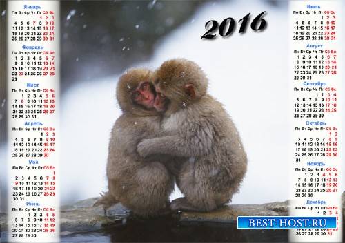 Настенный календарь - 2 обезьянки греются зимой