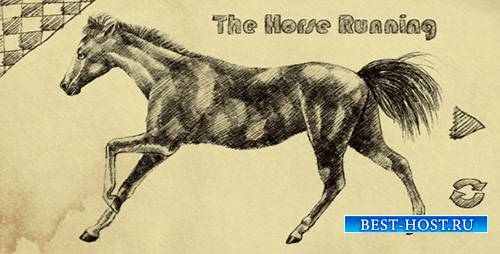 THE HORSE RUNNING - Motion Graphics (Videohive)