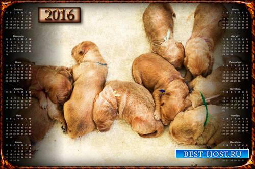 Настенный календарь - Маленькие щенки