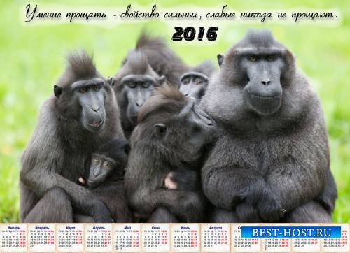 Календарь 2016 - Понять и простить