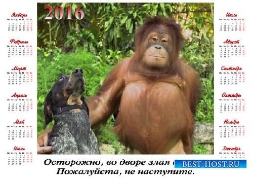 Красивый календарь - Орангутанг с собакой