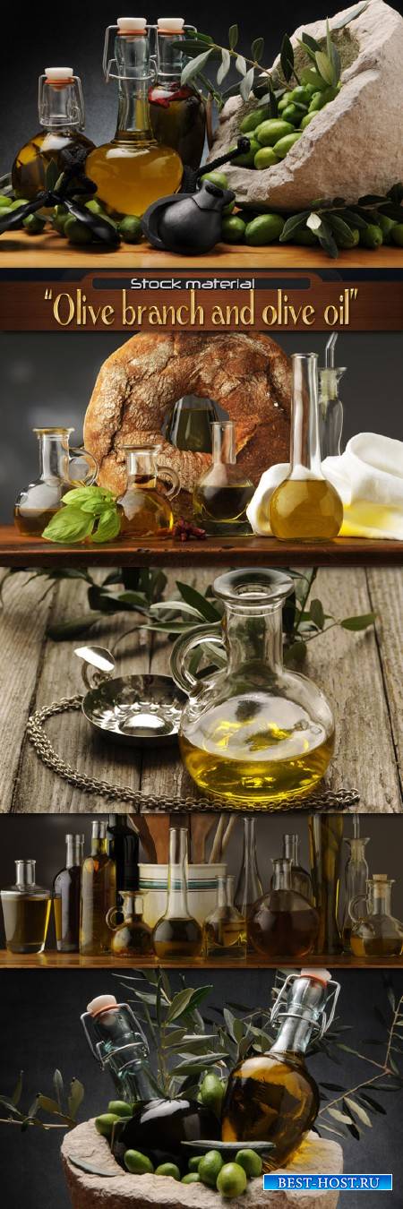 Ветка оливы и оливковое масло в стеклянной бутылке