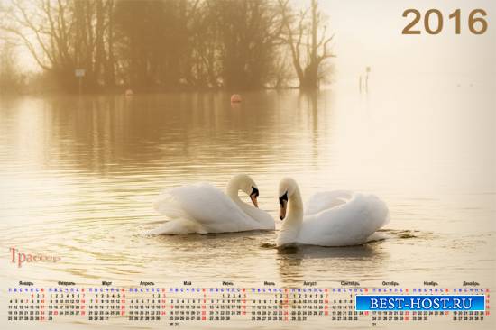 Настенный календарь на 2016 год - Лебединая песня
