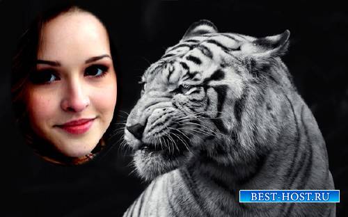 Рамка для фотомонтажа - Свирепый белый тигр